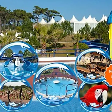 Villa House4you Nazaré